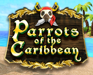 Parrots of the Caribbean Splash Art